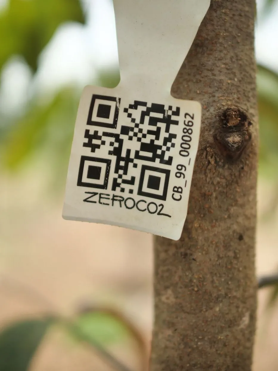 QR code del tuo albero Flowe