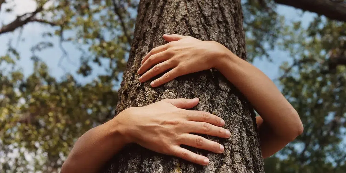 Persona che abbraccia il tronco di un albero